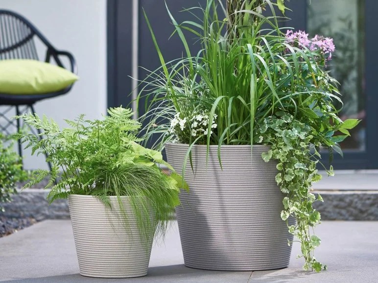 Scheurich Pot à fleurs - Lidl.be