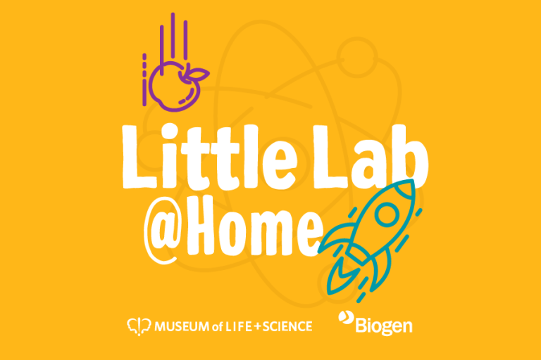 Lab Home Collection Lab@Home - Museum of Life and Science