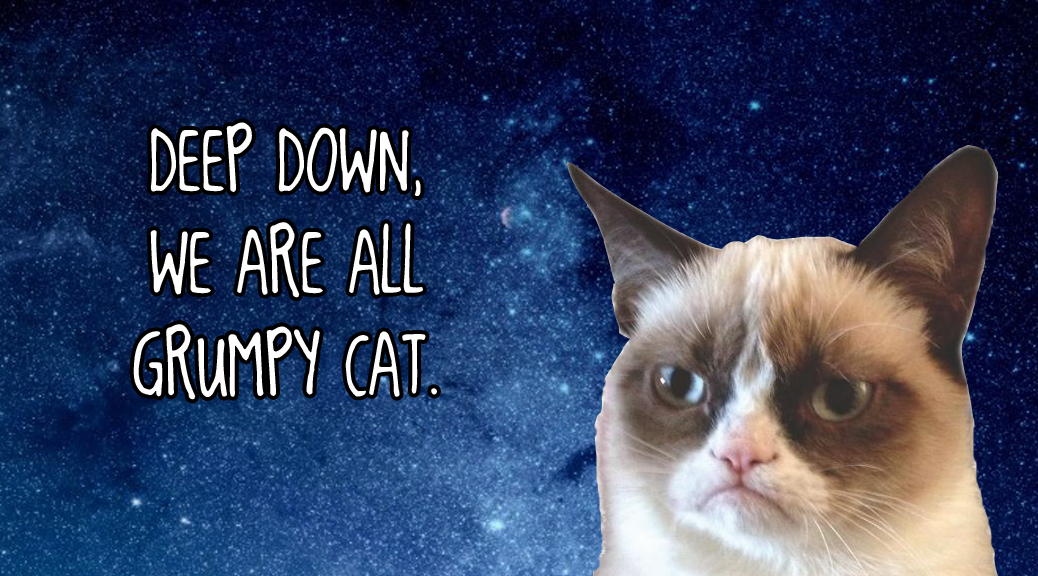 Why Grumpy Cat Rules the life between weekends