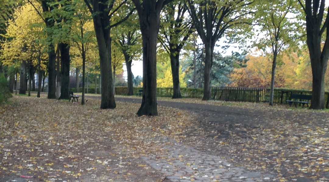 Promenade in Chartres