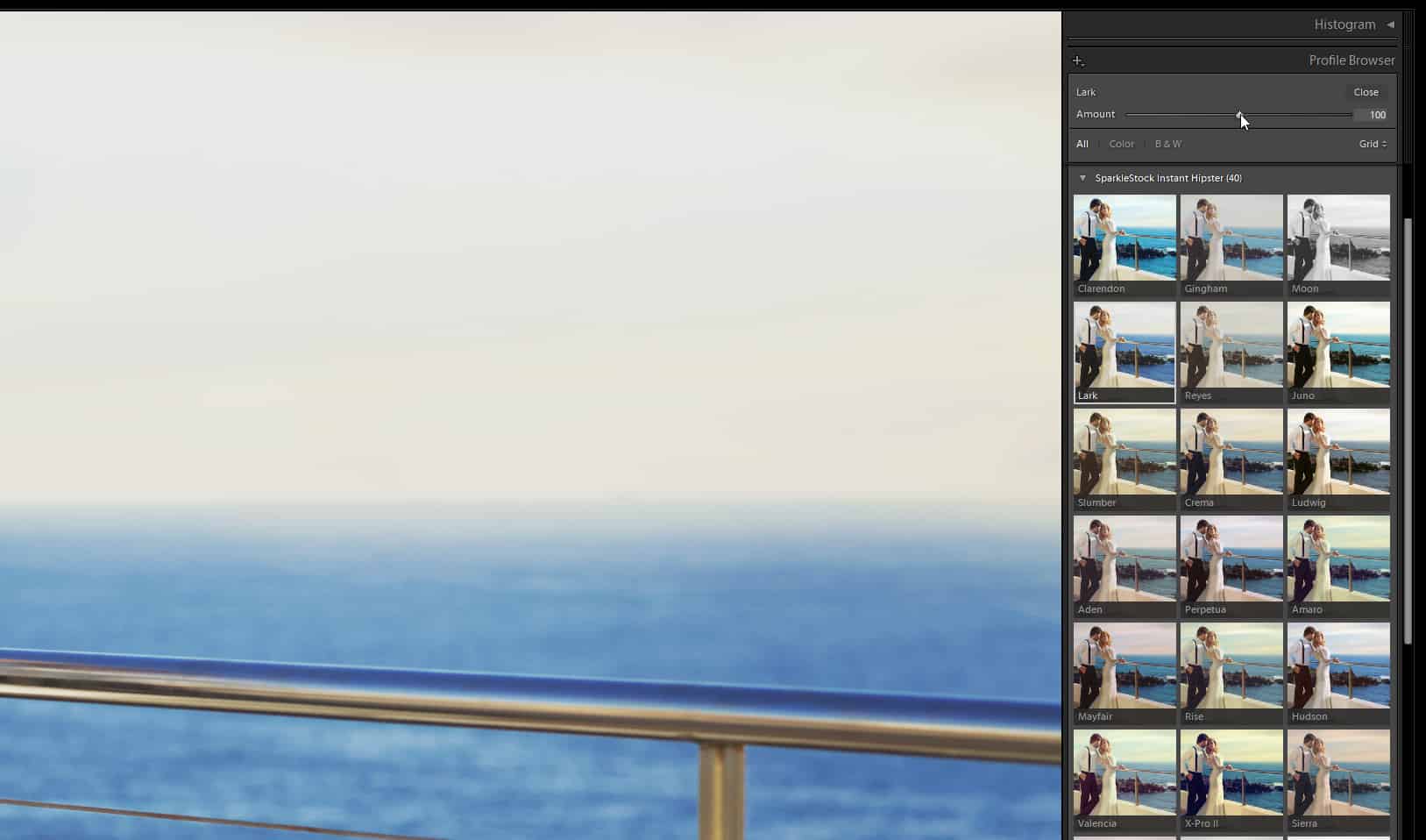 Where's the Opacity Slider in Lightroom? Lightroom Tutorials