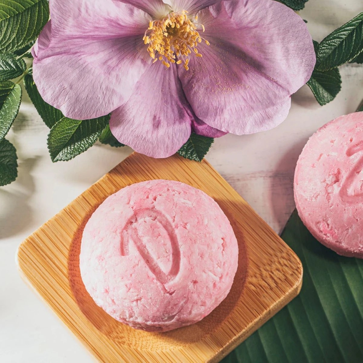 beste-shampoo-bar-fettiges-normales-haar-wild-rose~2.webp
