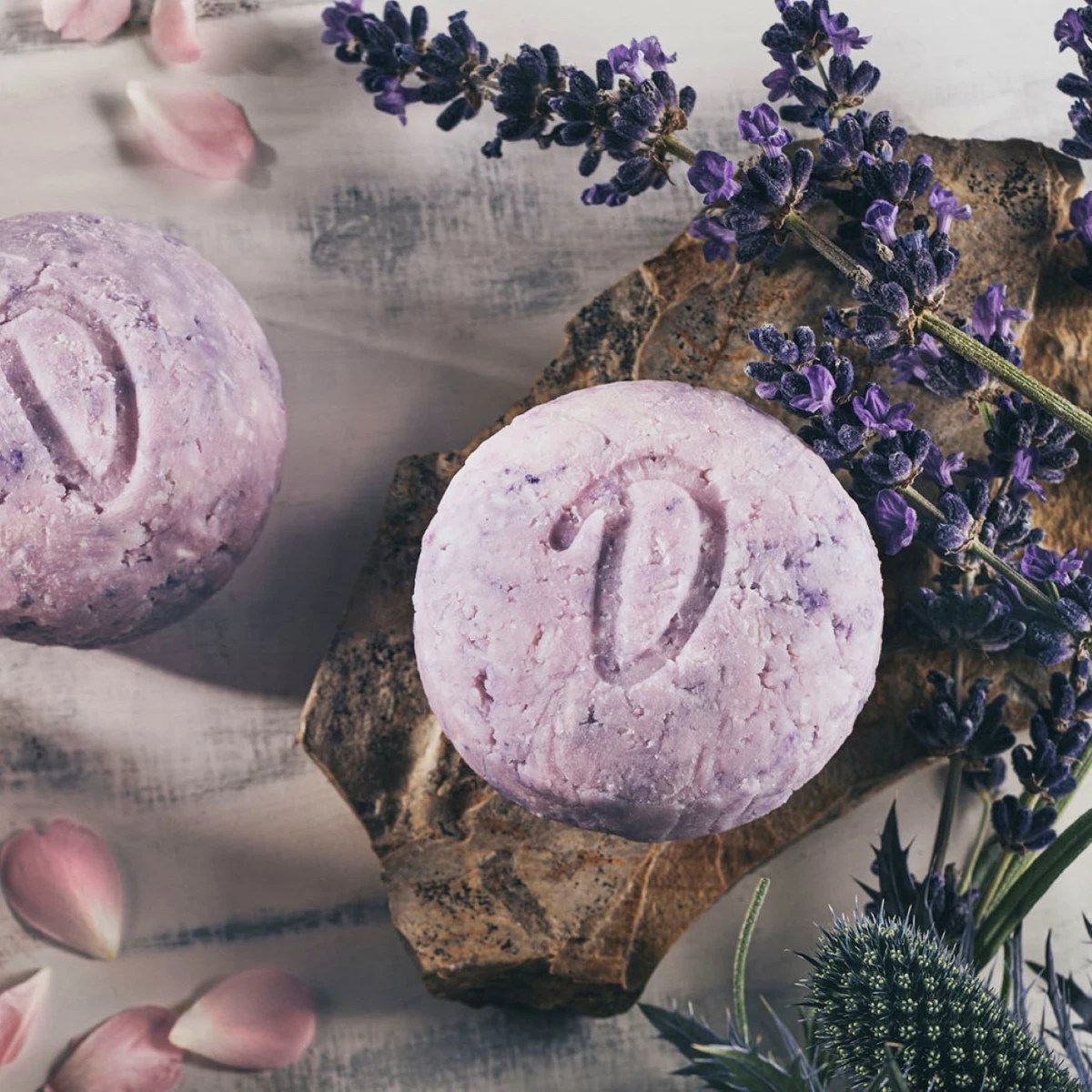 festes-shampoo-fettige-haare-lavendel-rose.webp