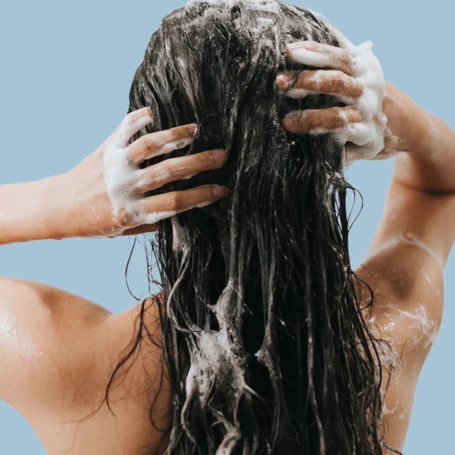 free_moisturisingconditionereveryday02.webp