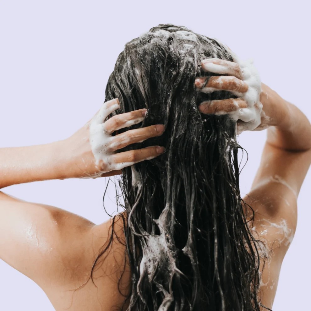 Free_shampooeveryday02-1.webp