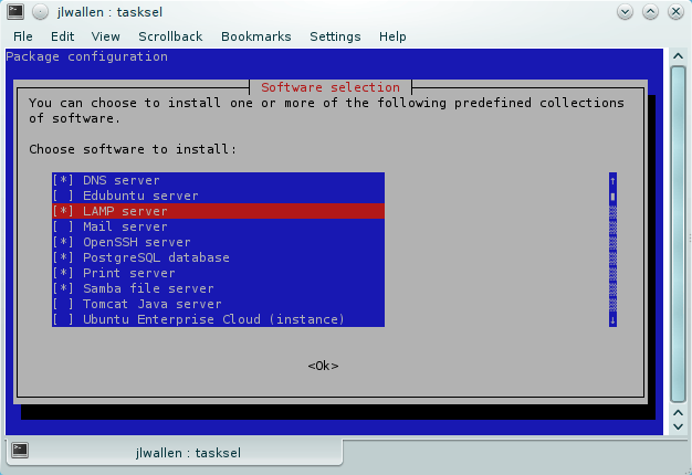 Tasksel Interface Lamp server installation | Paritoshik Paul