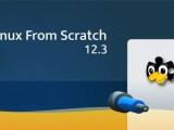 Linux From Scratch 12 3 Construye Tu Sistema Linux Personalizado Con