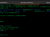 Difference Between A Terminal Shell Tty And Console