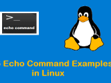 16 Echo Command Examples In Linux