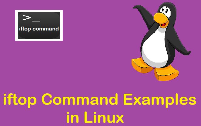 10 Iftop Command Examples In Linux - Beautiful Nature Photo - Ultra HD