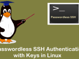 How To Setup Passwordless Ssh Login In Linux