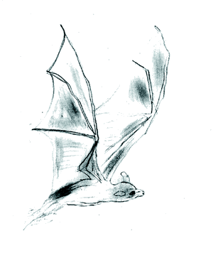 Securing And Optimizing Linux Securing And Optimizing Linux - Professional High Resolution Dark Illustrations | Free Download