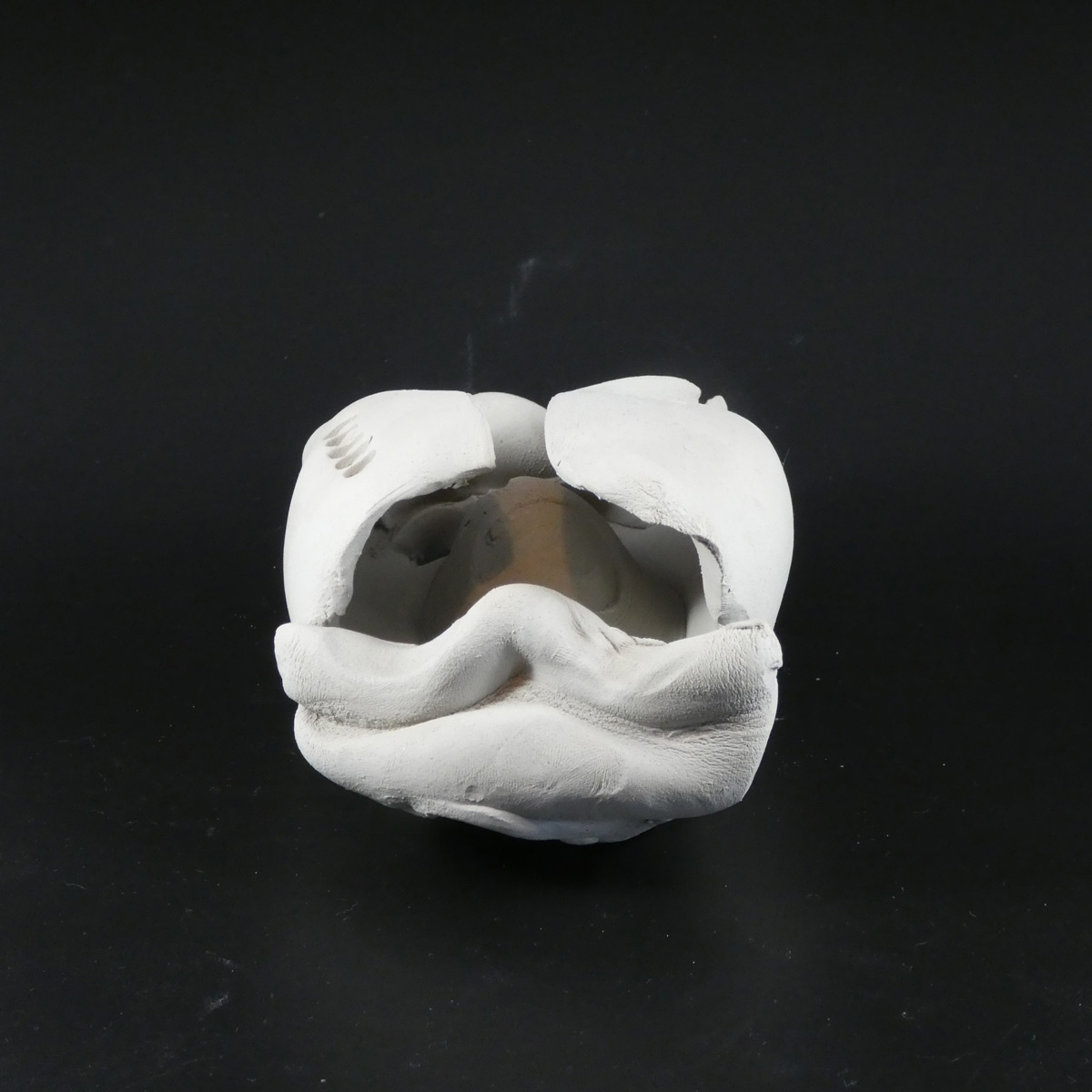 argue sign language into clay