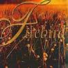 Firebird - Janice Graham - Image 2