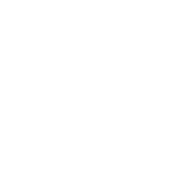 Linsenballchen Vegan Glutenfrei Und Rinkus Indische Kuche Facebook