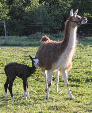 Posing with mum