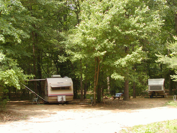 Create this easy water garden on your deck or patio in a few hours. this pond takes only a few hours to make, and it can be made out of nearly anything that holds water. Felton, DELAWARE local attractions. Killens Pond State Park
