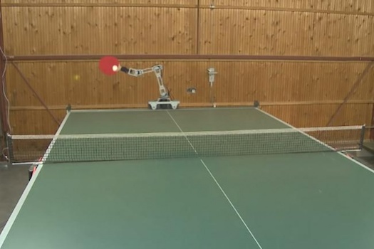 Table Tennis Organizations