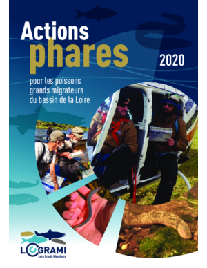 Actions Phares 2020