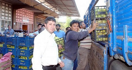 Her Gun 1000 Kamyon Meyve Ve Sebze Doyuruyor