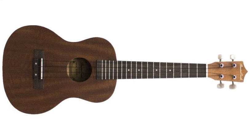 Denver Soprano Ukulele Brown Long Mcquade It looks just like a cherry sunburst Les Paul complete with faux pickguard but its a little ukulele.