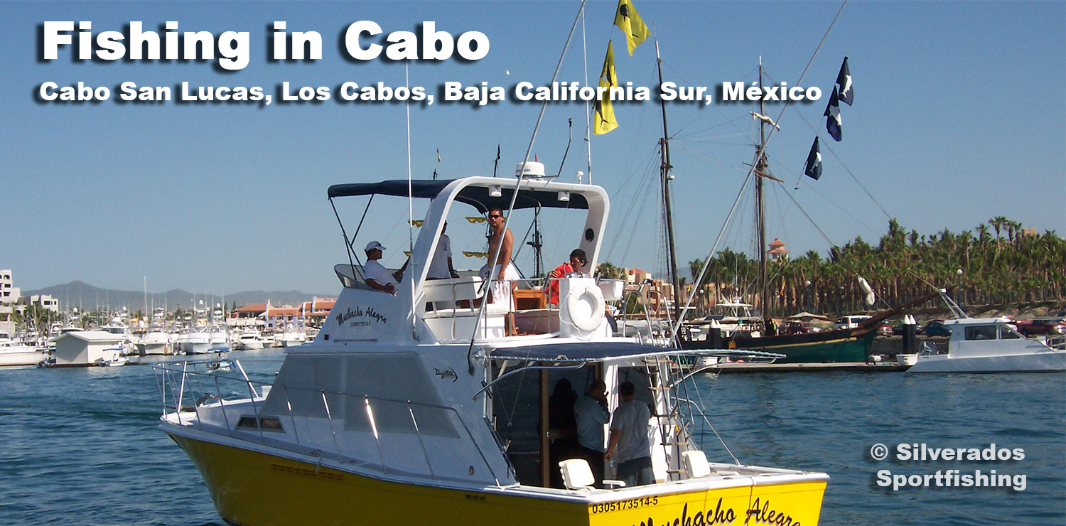 Fishing Fish Like A Pro In Los Cabos Los Cabos Guide