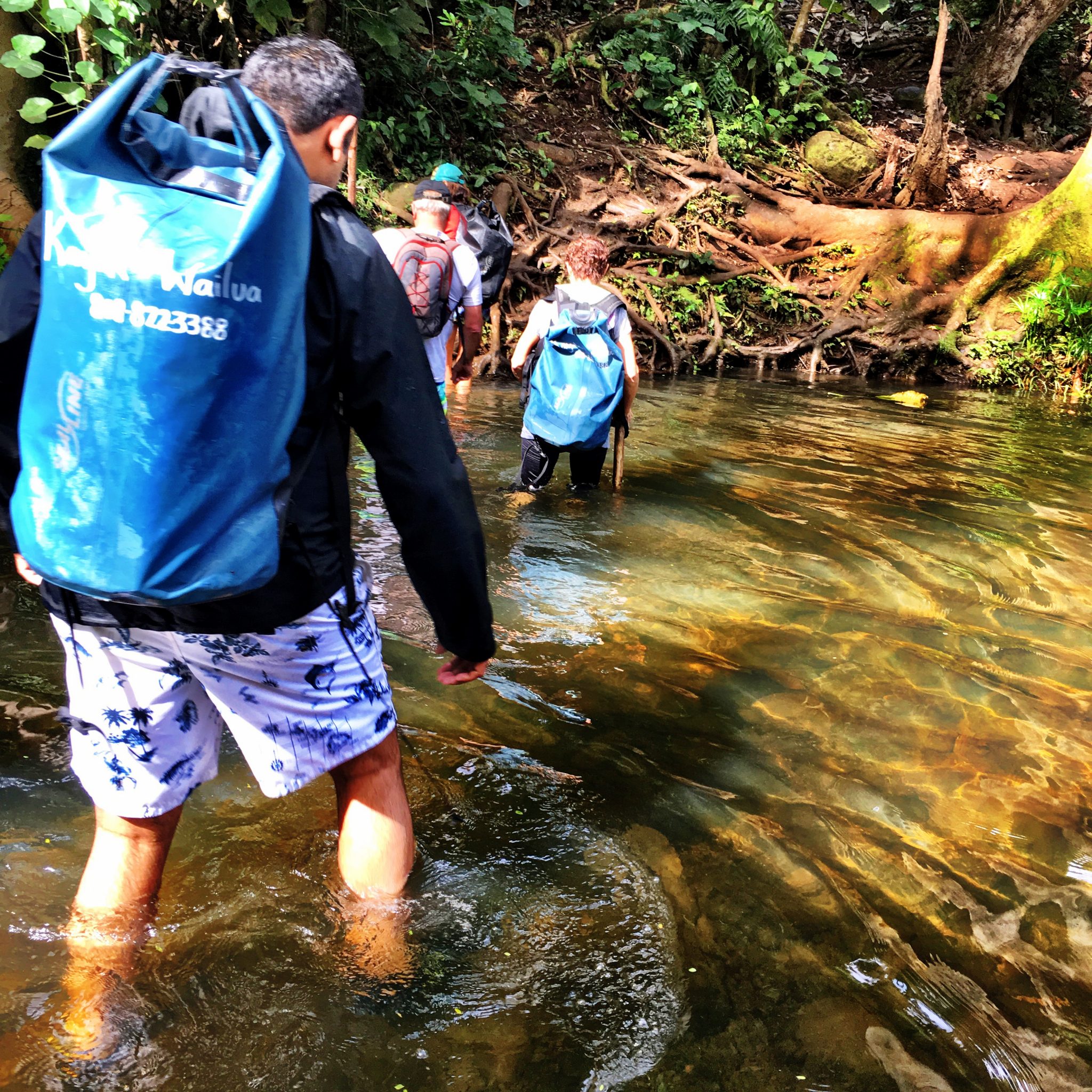 Walking through waist deep water on this hike
