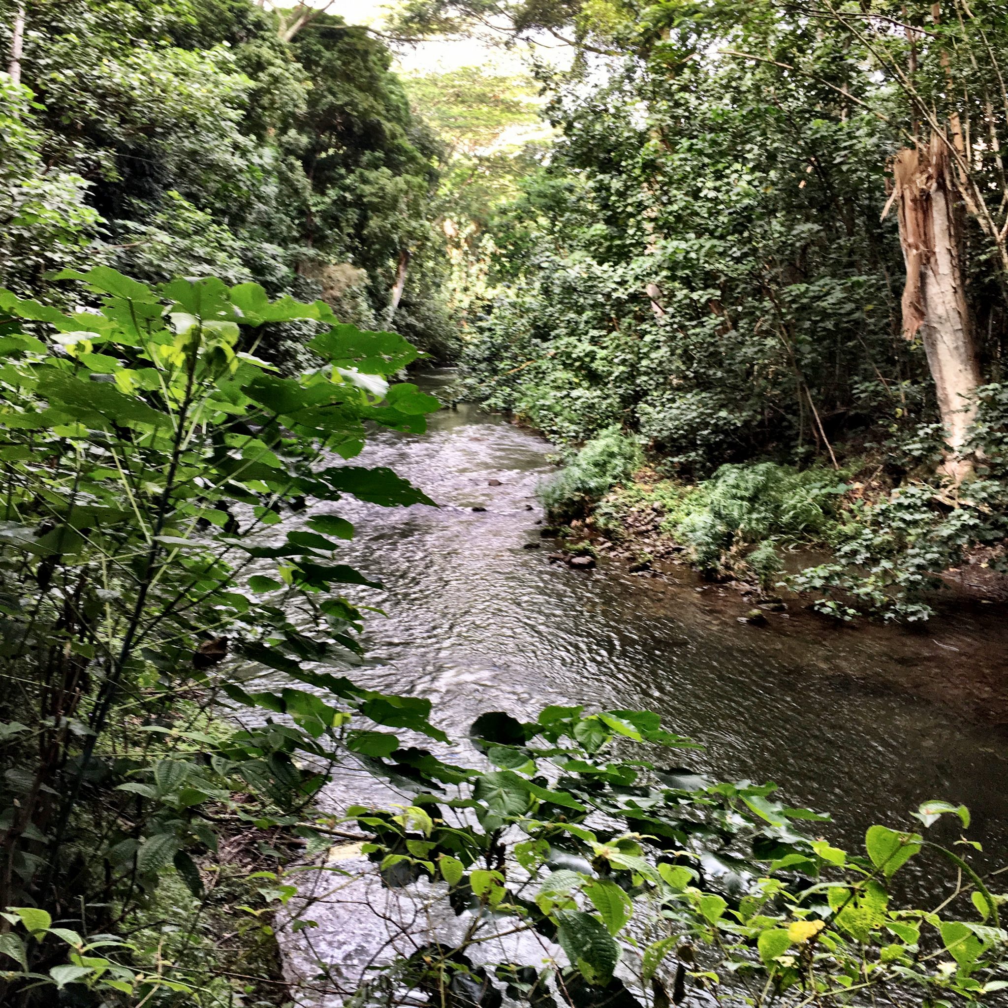 Wailua River