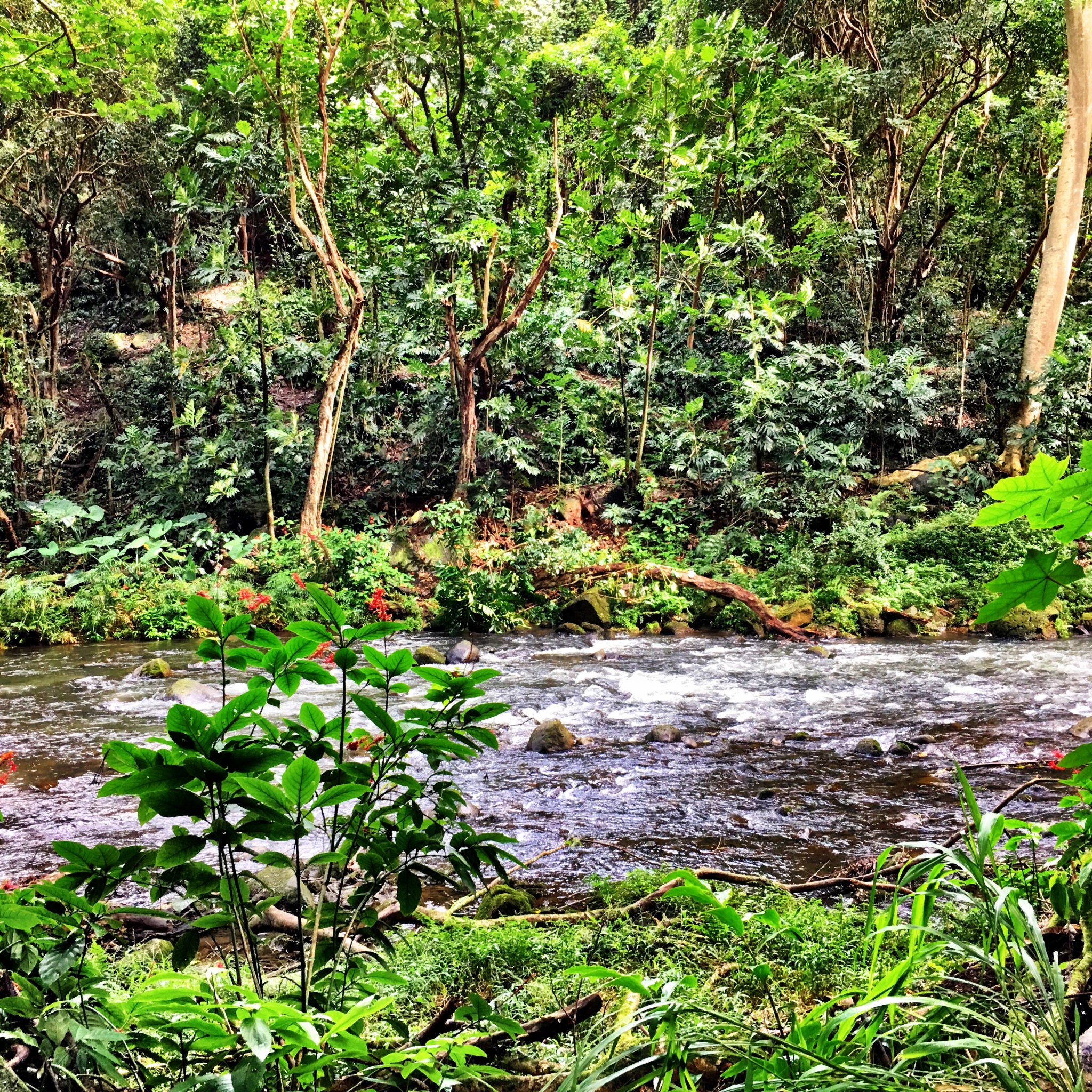 Wailua River