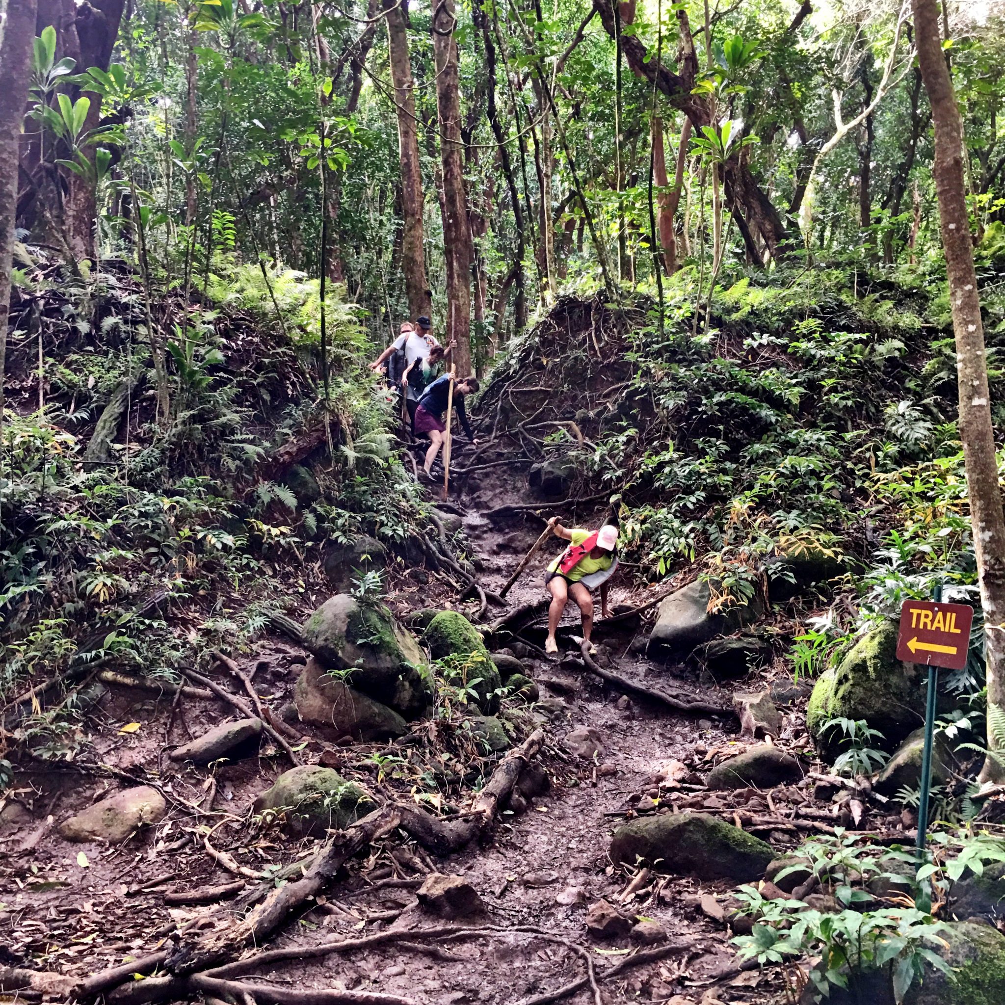 The crazy hiking trail