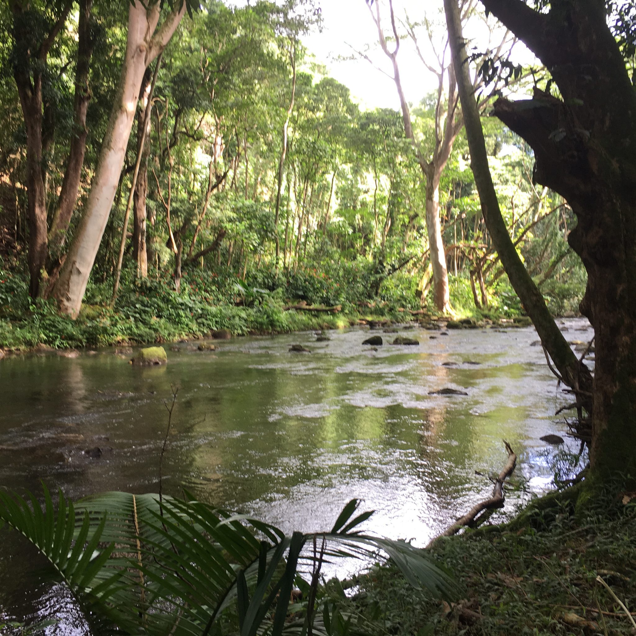 Wailua River