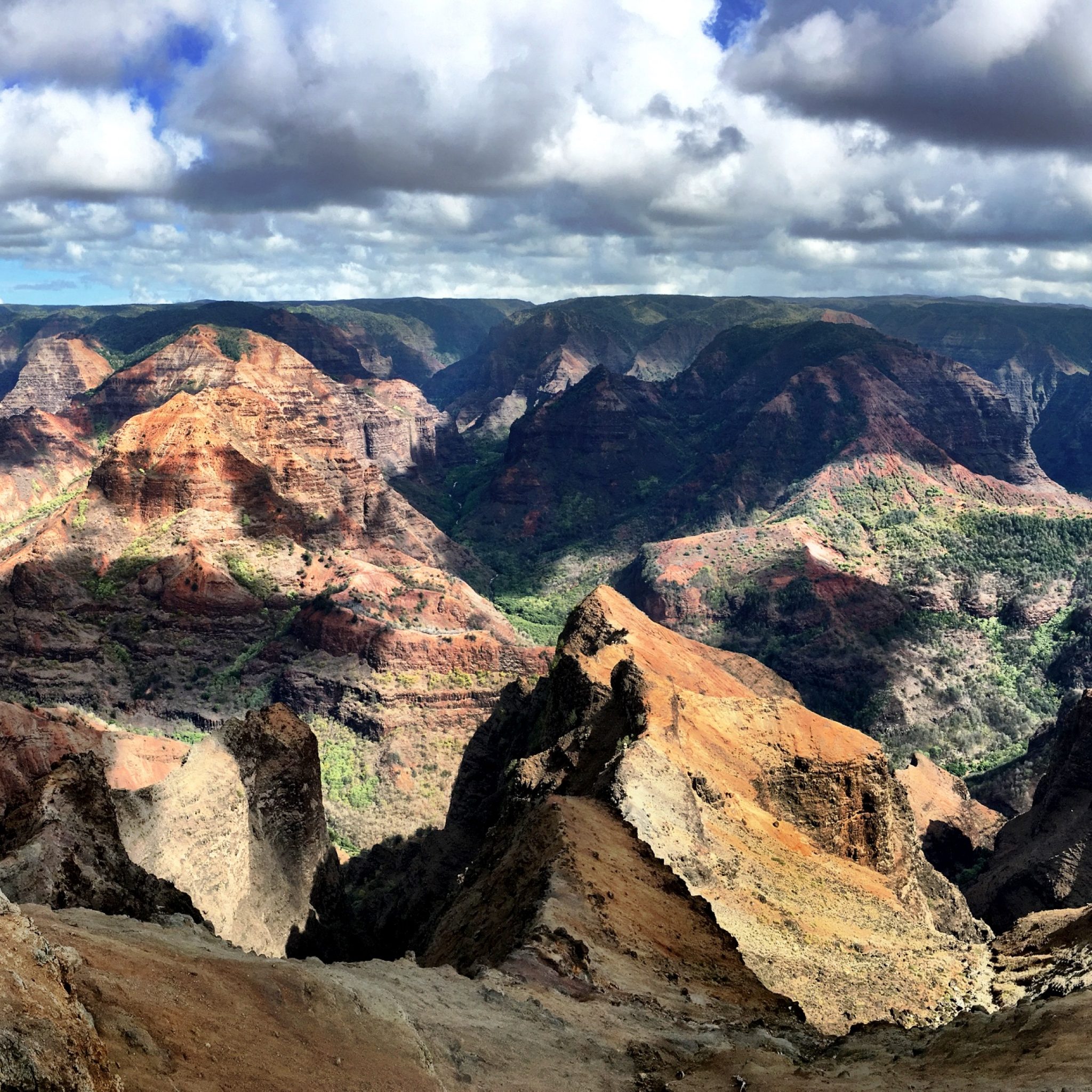 waimea canyon