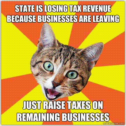 Progressive Cat Tax Advice