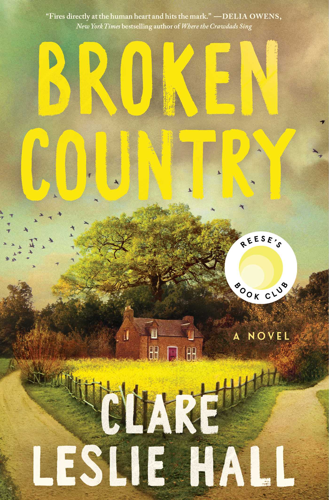 Broken Country Clare Leslie Hall review