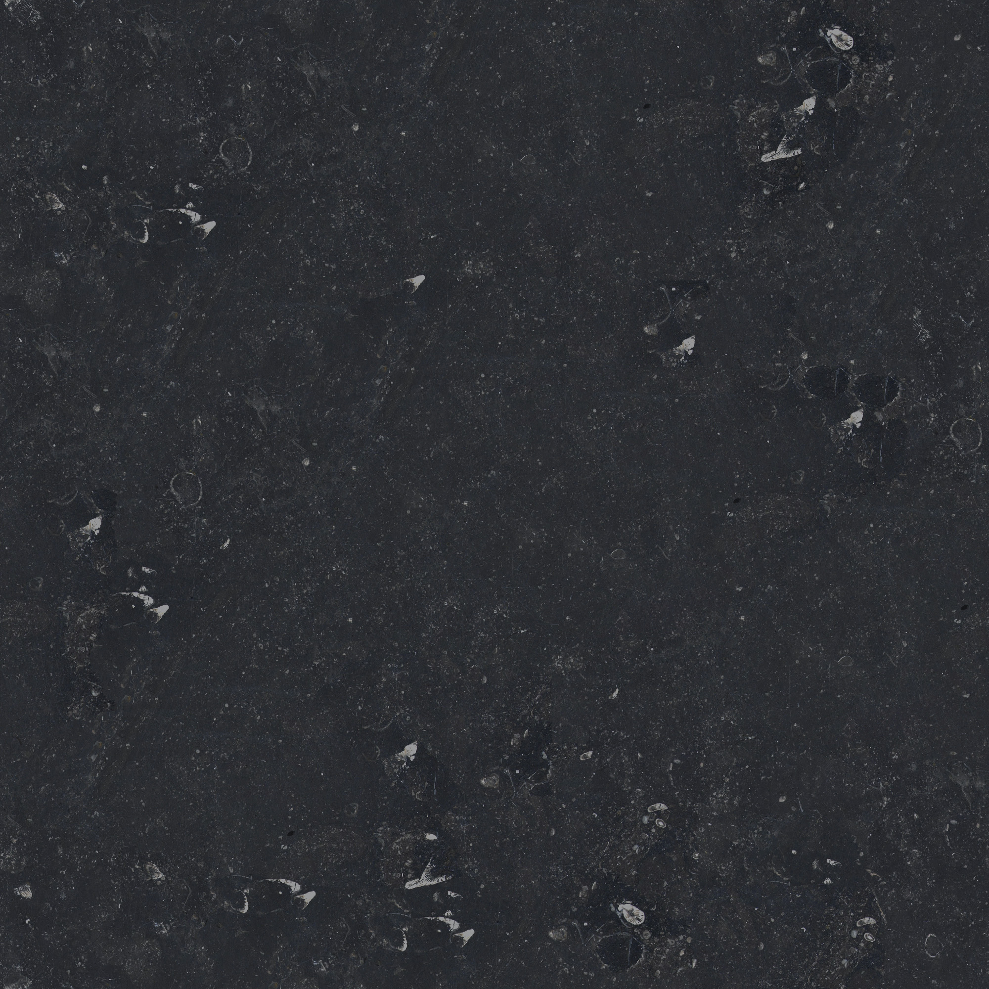 Belgian Bluestone