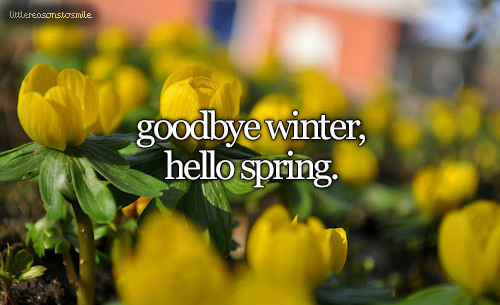 goodbye winter hello spring pictures, photos, and images on goodbye winter welcome spring wallpapers