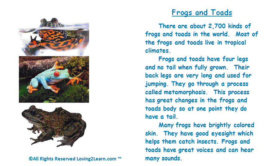 Discover and read nonfiction: frogs and toads and learning about frogs and toads videos