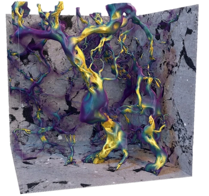 Digital rock analysis