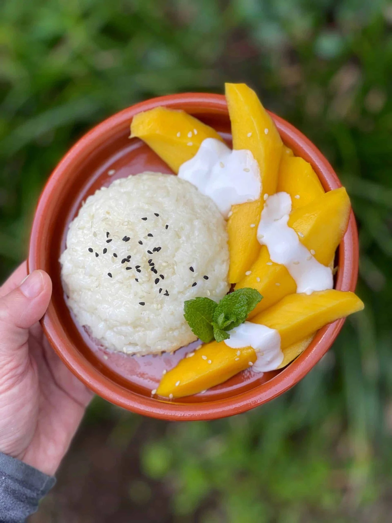 wallpapers Thai Mango Sticky Rice Recipe Easy thai mango sticky rice
