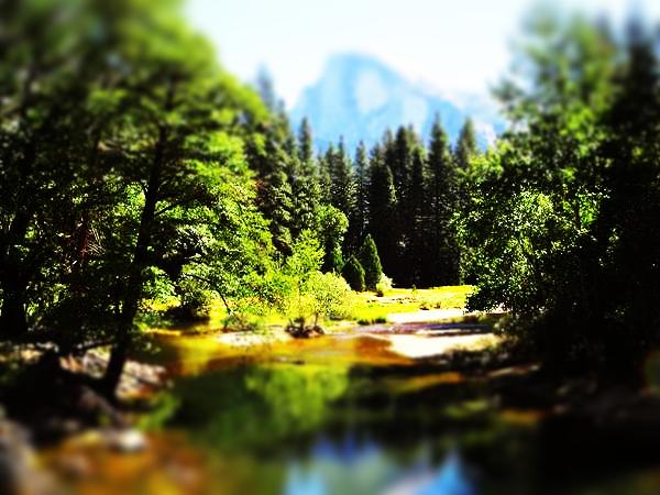 Lunapic Free Online Photo Editor Tilt Shift