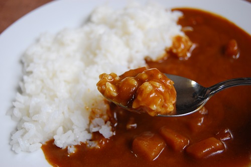 スパイスカレー