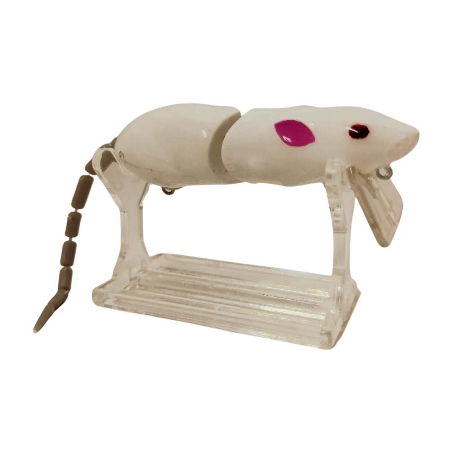 Rat01
