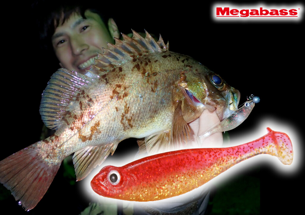 メバルはモチロン、多魚種を魅了】メガバスの鬼釣れシャッド