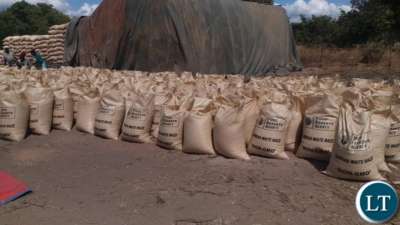 Zambia : Luapula projects bumper harvest - Vimarsana News