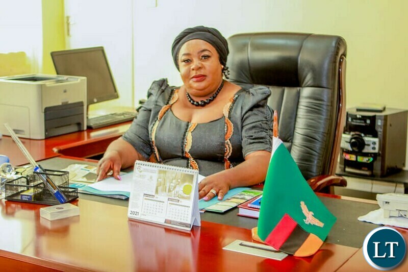 Zambia : Government launches community case management guidelines - Vimarsana News
