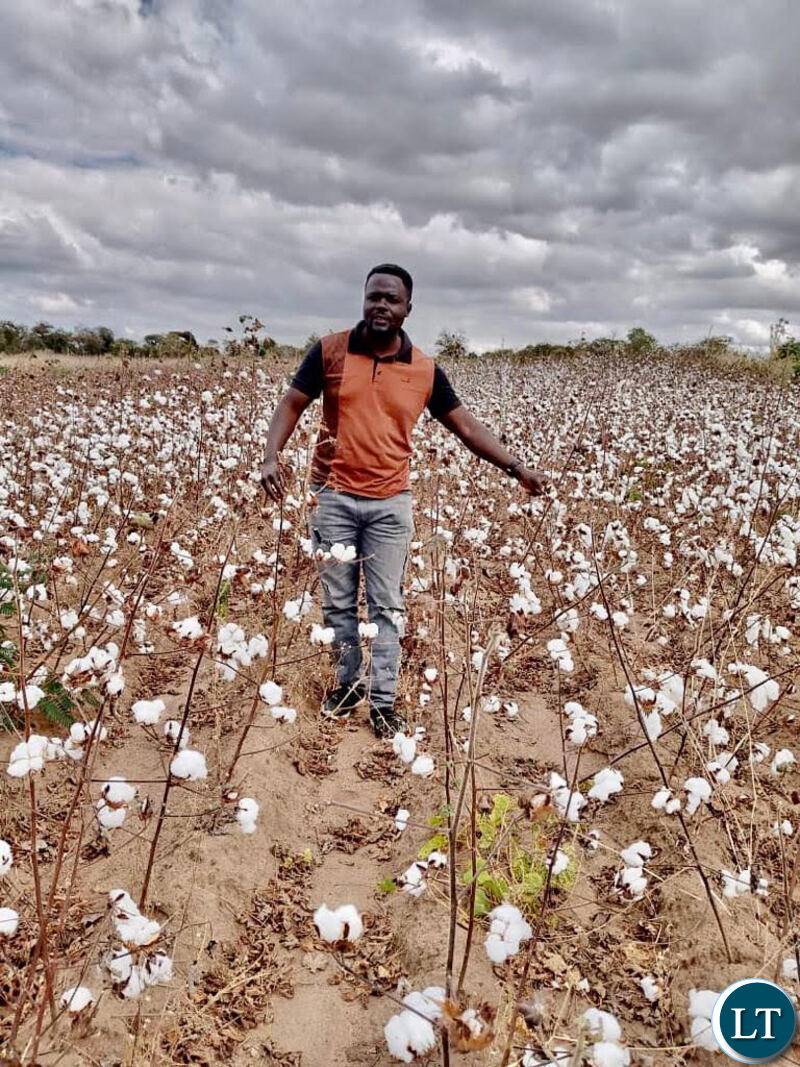 Zambia : Cotton stakeholders push for green economy - Vimarsana News
