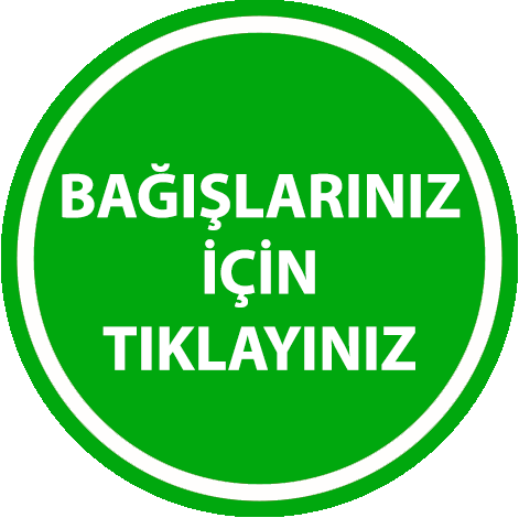 Loading