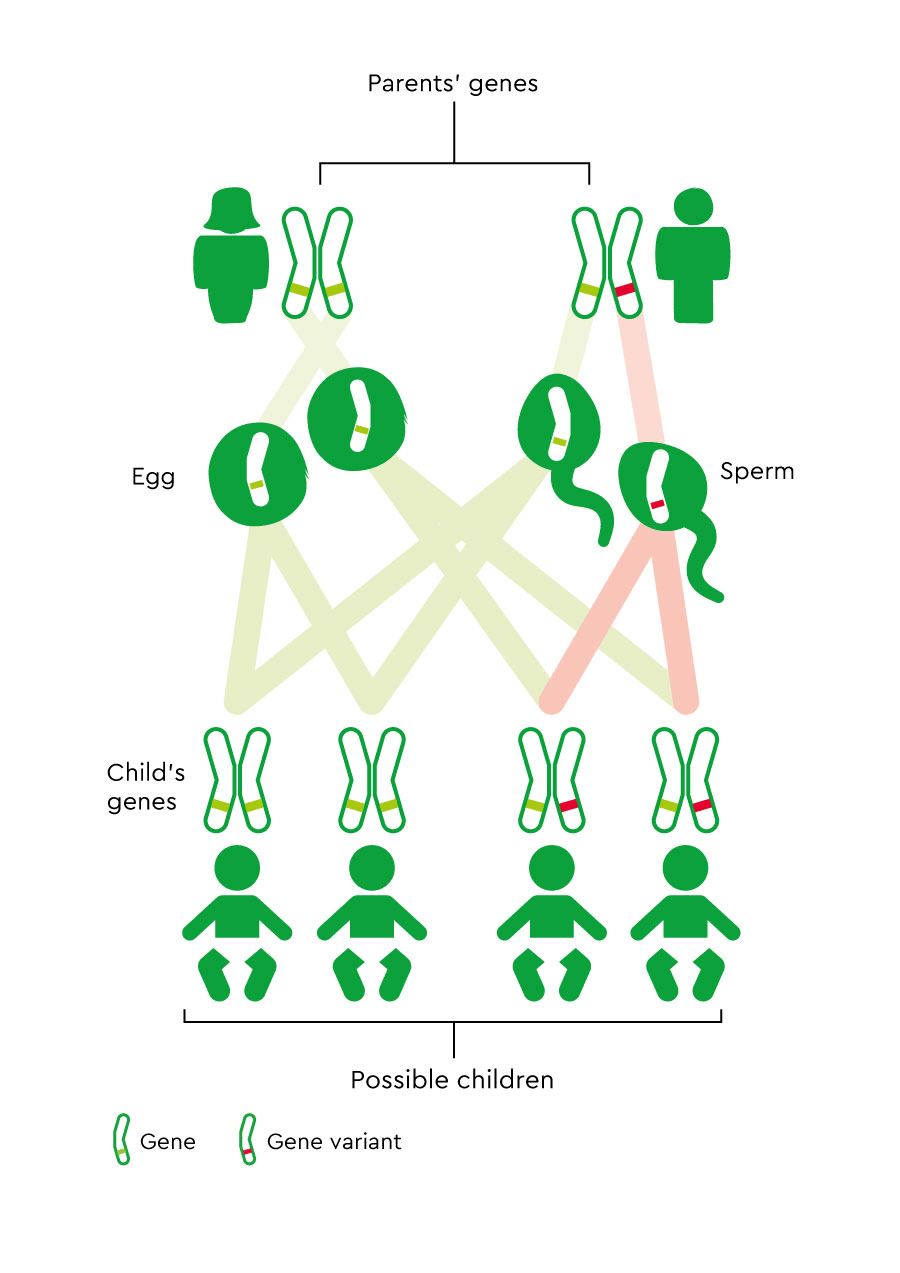 Familial adenomatous polyposis (FAP) - diagnosis, surgery | Macmillan Cancer Support