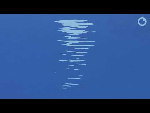 , AFEX &#8211; Rain, MadDNB
