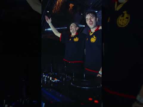 , Netsky unleashing this absolute belter at the Parc du Cinquantenaire 😍 #dnb #drumandbass #shorts, MadDNB